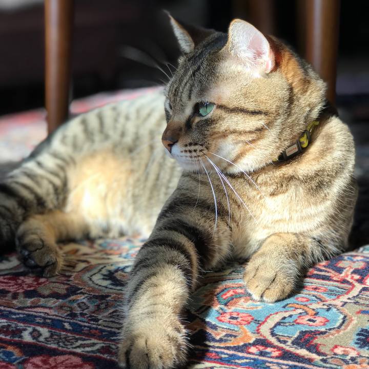 8868479d a730 4ec2 a1b7 60bcc15fd418 1511496719740