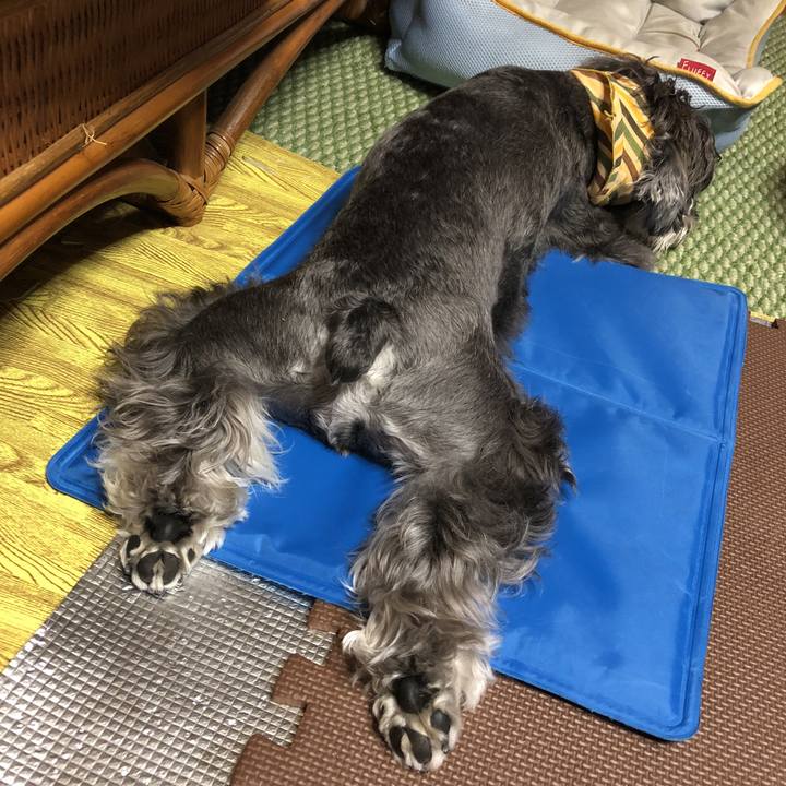 8868a3e1 6d34 4e71 9084 2010606e6b20 1535375668583