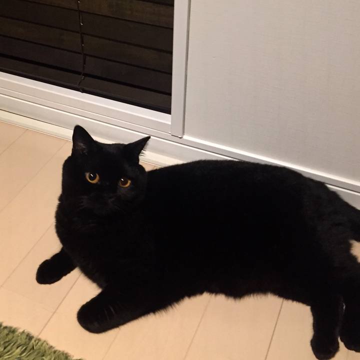 8868faf8 9b04 4a5e 815a 1fc3ed59a032 1536151216079