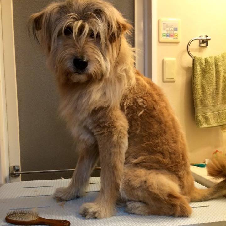 88690134 0d6e 4a3e 9676 061192053d23 1529550372811