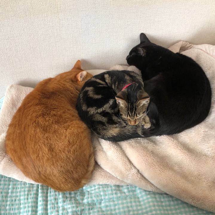 886903da 956b 4d4d 96ec 8bbe78f49e15 1735607197443