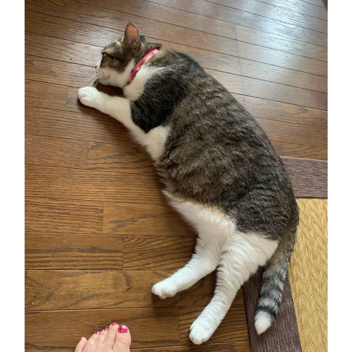 88693090 865f 4b19 9356 1ef5480dc237 1662079951231