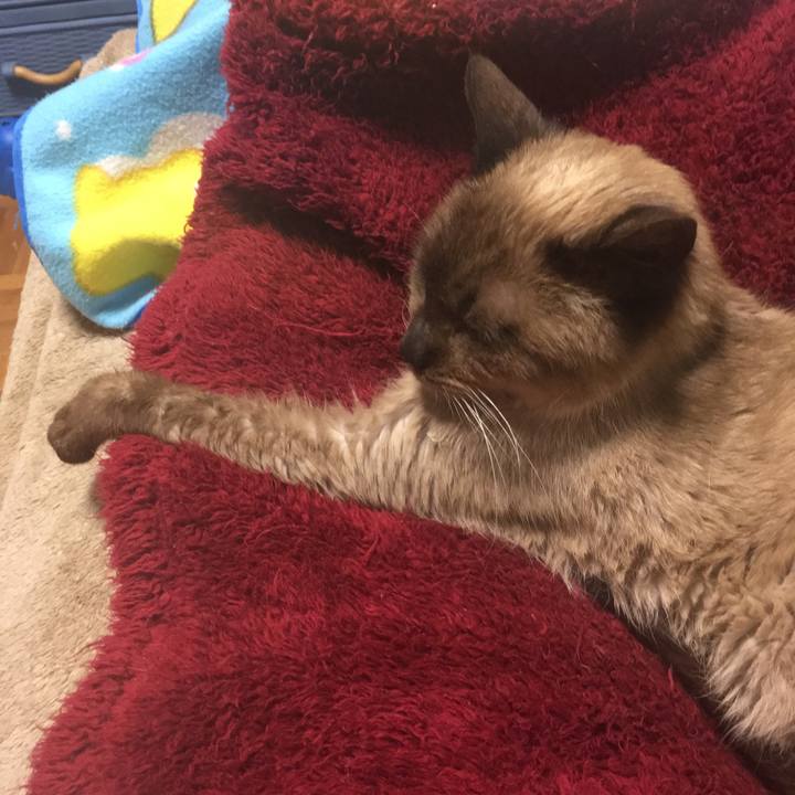 88695722 d0ba 4ab4 8de1 cd11f4572125 1525212471138