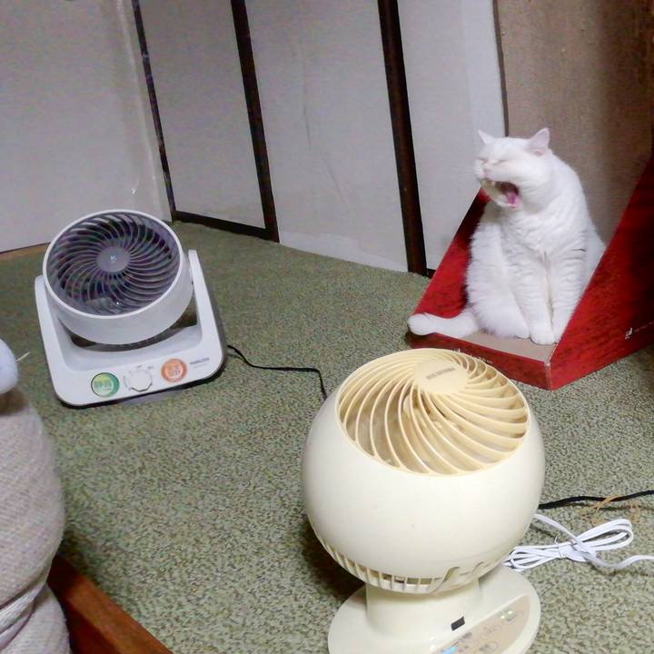 88697d20 4662 47c4 90bd 91a48e989d89 1693655978854