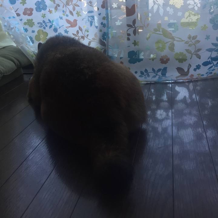 88698dc1 f372 4da0 84c5 d81e8a7d9536 1536105542313