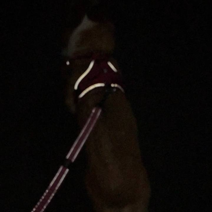 88699542 3220 44a0 b275 eb74ea0aa444 1694607366902