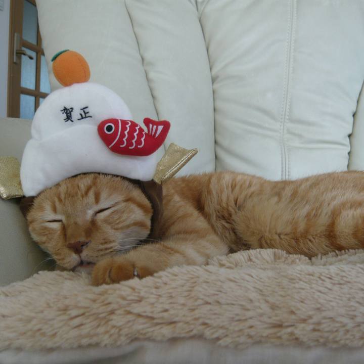 8869bf28 3752 4a72 8b84 c3fea87873a4 1514867907251