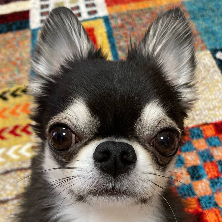 8869d676 cdb4 4dd6 85b9 22dd159e3b88 1683932490487