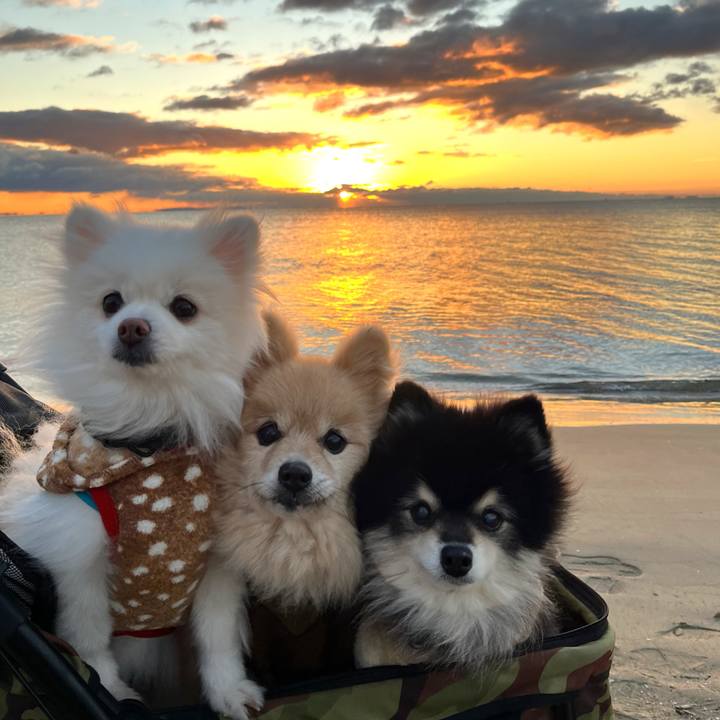 8869d69c 43dc 43ef be15 4f92969330d0 1767527053554