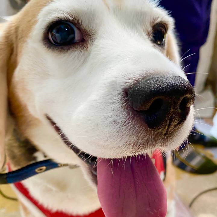 8869da3e 9f60 4c12 b1bc a906c68f9498 1592636317617