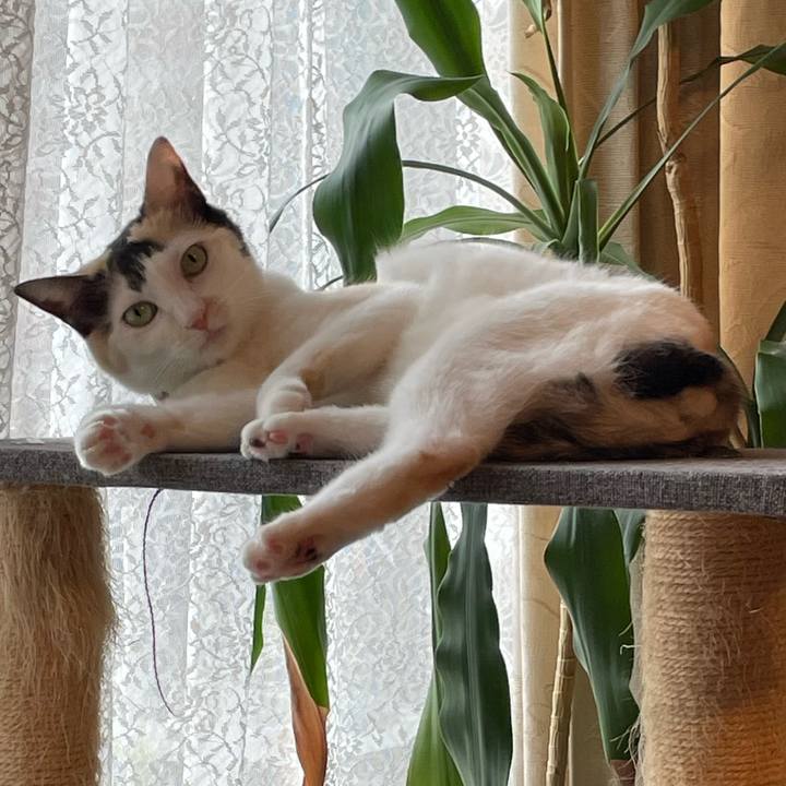 8869e3c0 b137 4211 a338 c33ed62468c2 1758501335834