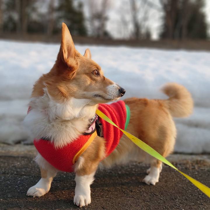 8869f1d9 e08b 4209 b2ad fbbaad839c29 1773704908372