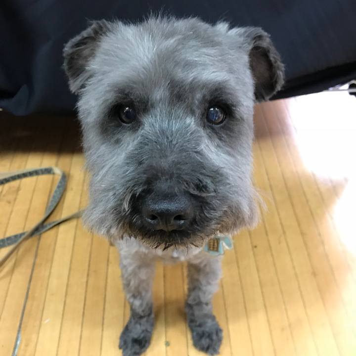 886a4bf7 43e2 4cb4 a18c 4d5bb868682e 1523600042228