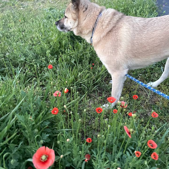 886a6d84 a37c 46a5 9d80 a6b67ad48dab 1649420434769