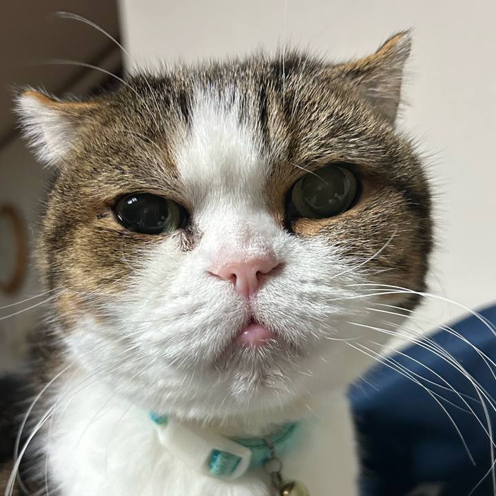 886a714d d472 4a79 ae1a 2be74d0cfd2a 1763592529491