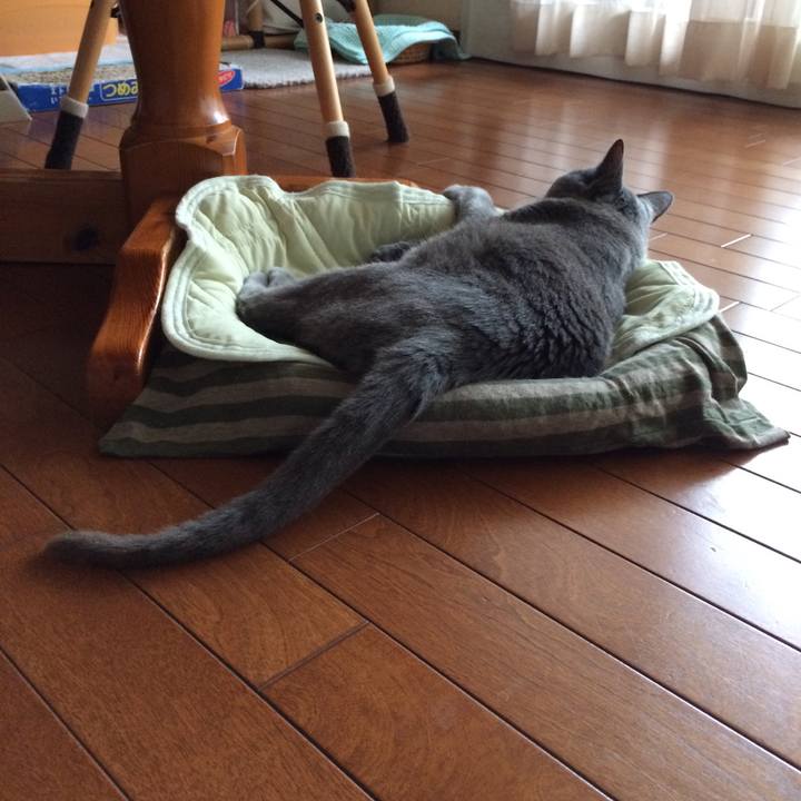 886a8ba0 e15f 44fa 85da 1aa0c06df92c 1531348597976