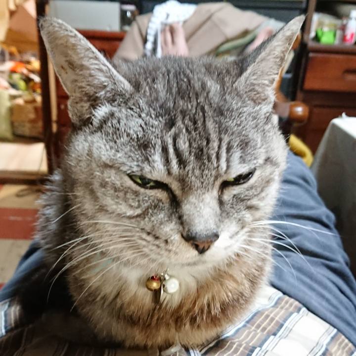 886a9b10 b033 4795 9c21 2f4f08617a5e 1569067839848