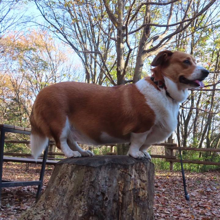 886abc24 5b54 47fe b9be 3aeeb4ffd93c 1669939893749