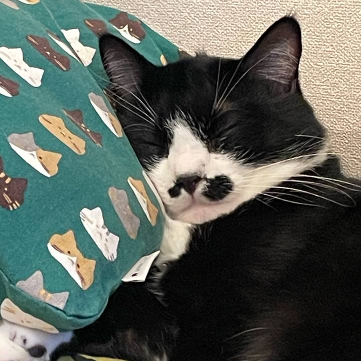 886aefd1 3234 4fde b89d ed9d88080cc0 1755788871781