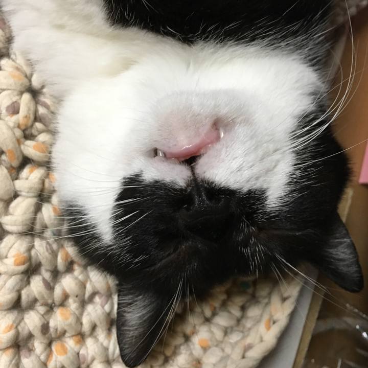 886affd4 7123 437d 96c8 82dfed06642b 1533546387081