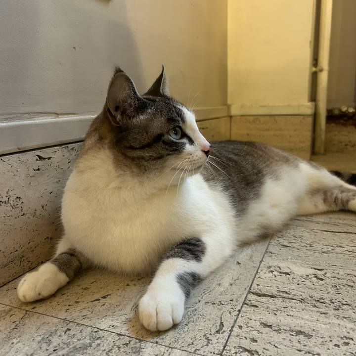 886b29cf d2ee 4632 a6ef b22440828d75 1771630037271