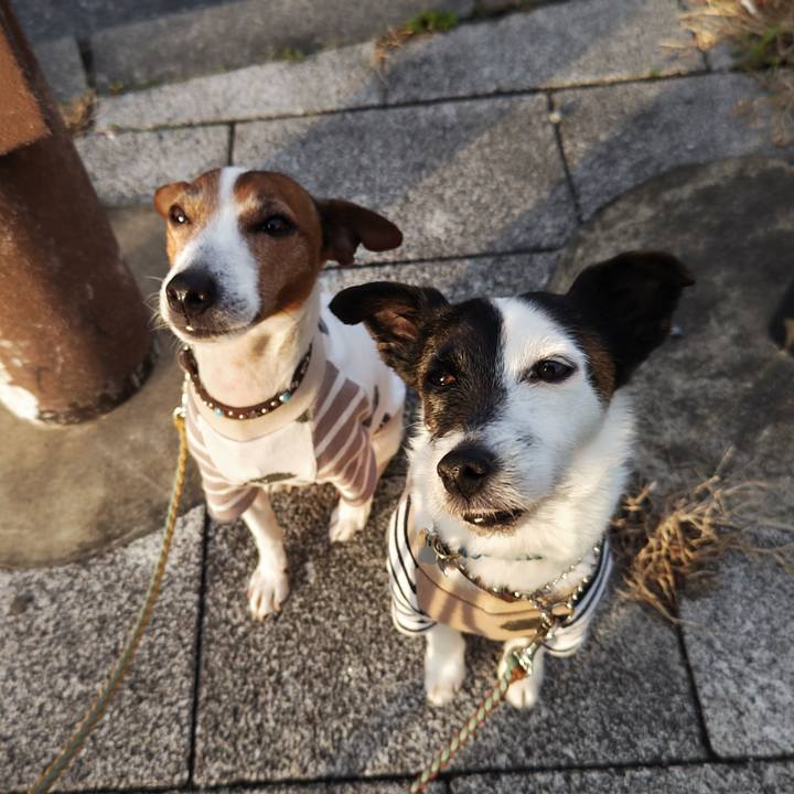 886b470c de44 4fb7 aeee 6a38acd0436c 1741902183522