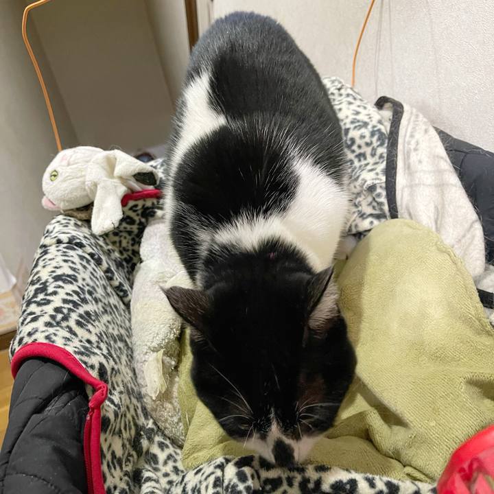 886b9ff3 bc4f 418c 8054 ef0271acc848 1766357829293