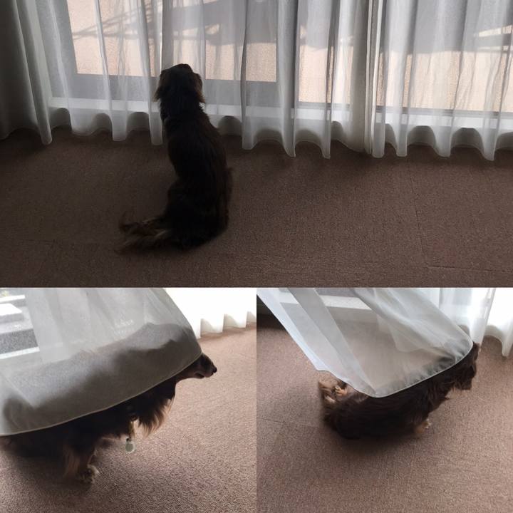 886ba4f0 9228 4d43 ad36 1aa798ca6ecf 1601559521331