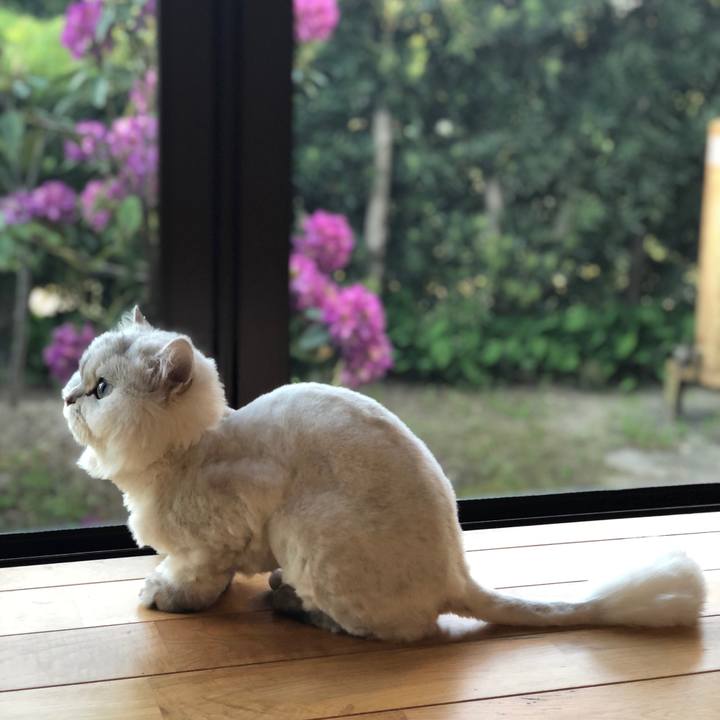 886ba7c5 20ac 4539 a202 11fe66037152 1589194016566