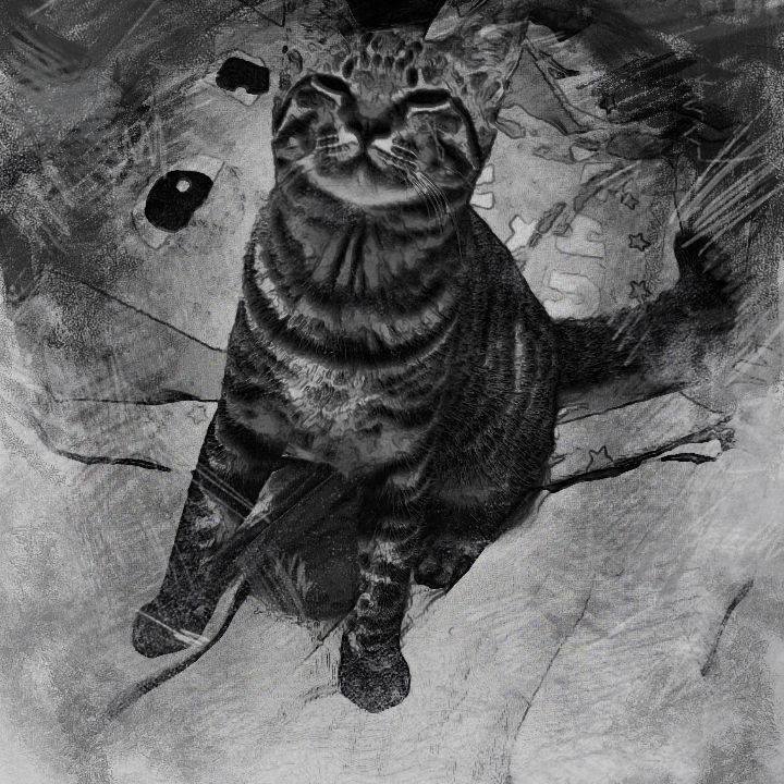 886bbbcd 2fe5 4ff1 bc71 ddbe7055fd59 1543212643309