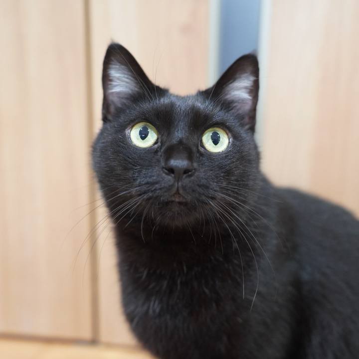 886bbf76 1923 4ce2 a2b4 fcf9259f3d1d 1730680074830