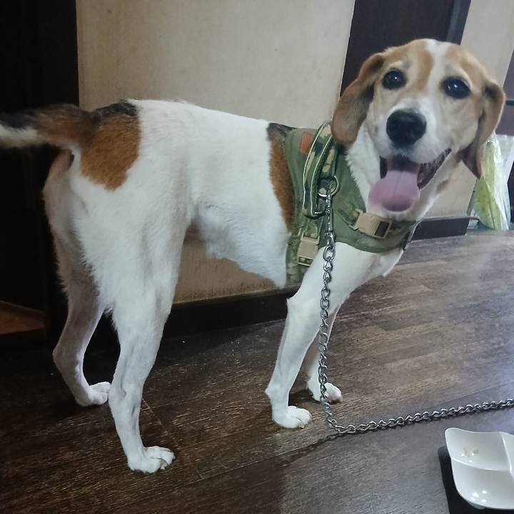 886be11e eaf0 4d7b b612 4c32029c1f69 1752044456404