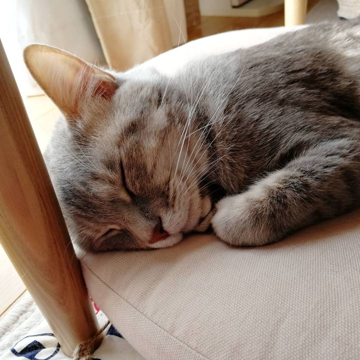 886c0cdc dac7 407c ac2c 3f7df240d144 1527925928320