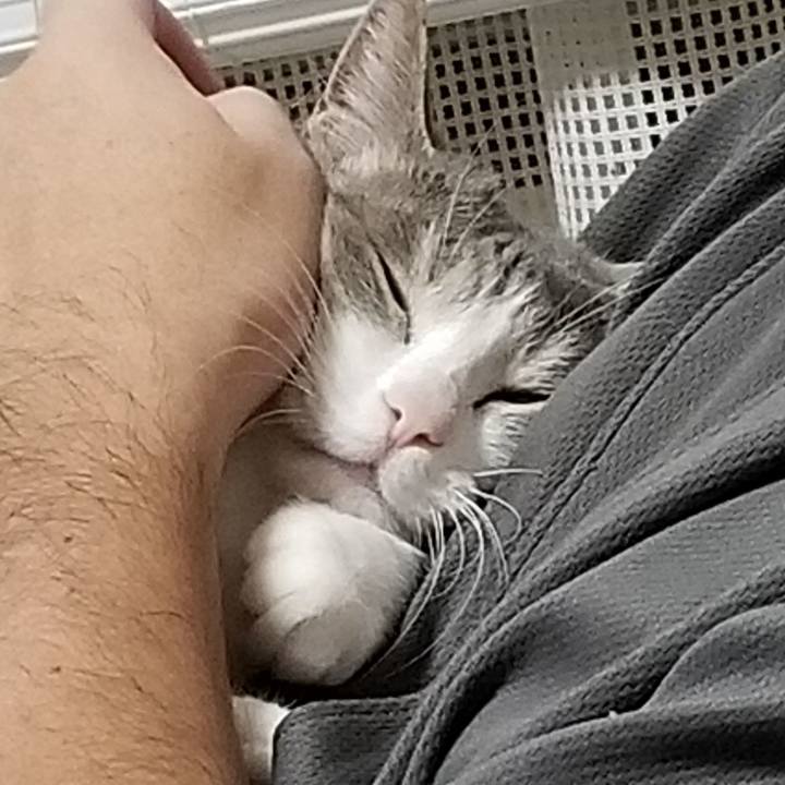 886c3579 ddc3 4af8 97a2 793788eacc8c 1544019395171