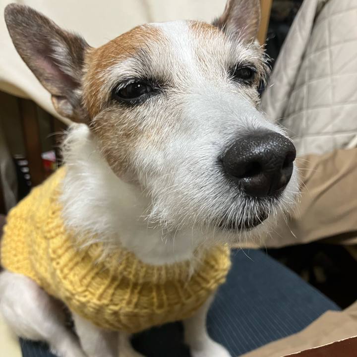 886c3e05 7caf 421b 9699 29caf8b705d0 1673663421134