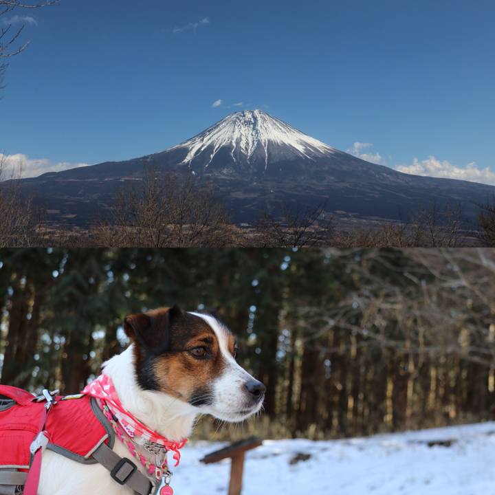 886c7cad 1c62 44b9 b027 cfd81b7f1f3b 1518864392703