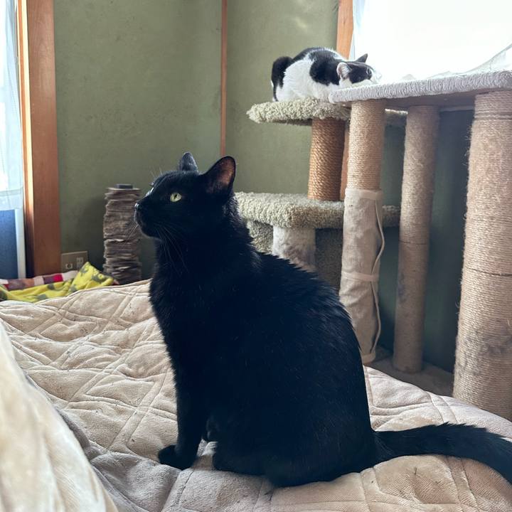 886c8f54 d3c5 4ab3 81da 39e2e78398e0 1674355581021