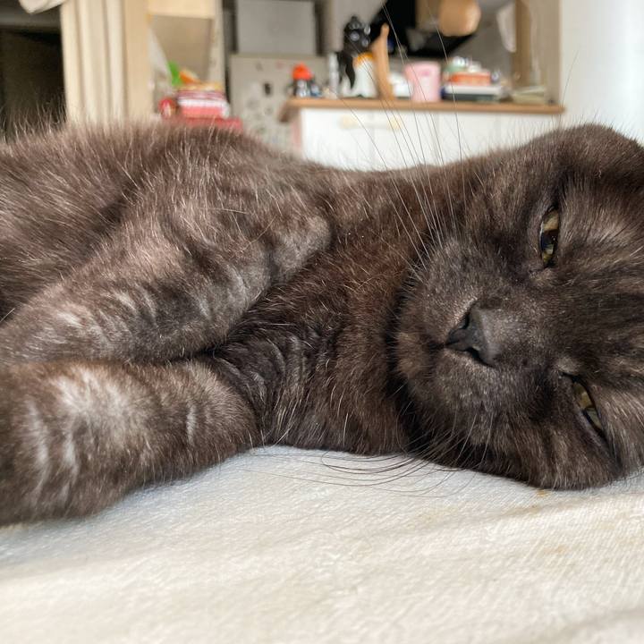 886cbee6 7e7b 437d a8c5 8e8d3525beed 1591598081477