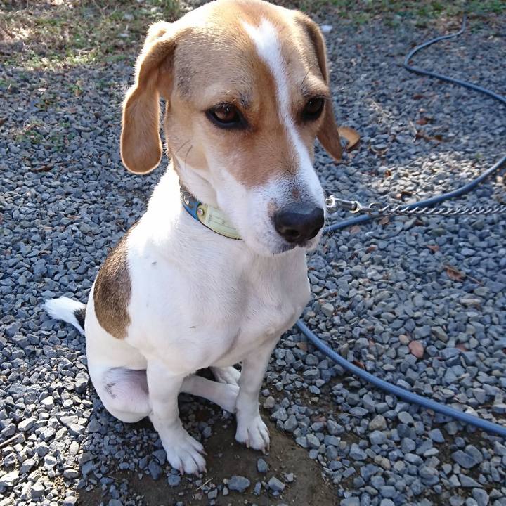 886ccf50 9007 4019 a72d dfca9acd7470 1575085190733