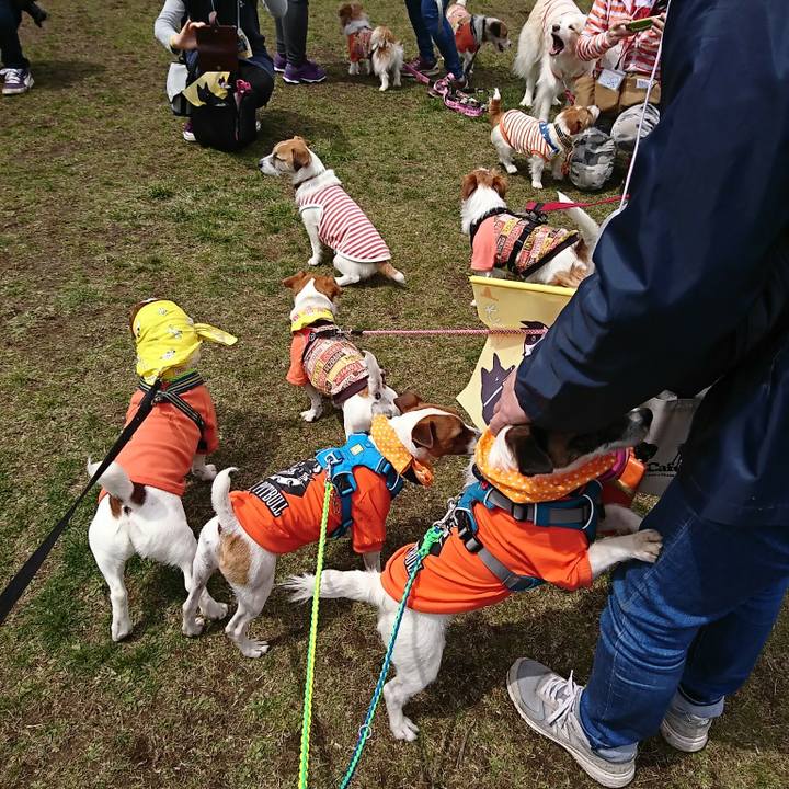 886d8493 a372 4074 a306 94a706074ab5 1555209919694