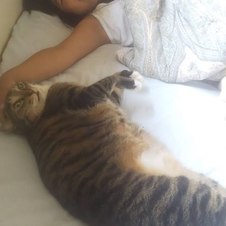 886d85b1 747f 4f1f b556 6cdb7e0768ca 1754888627205