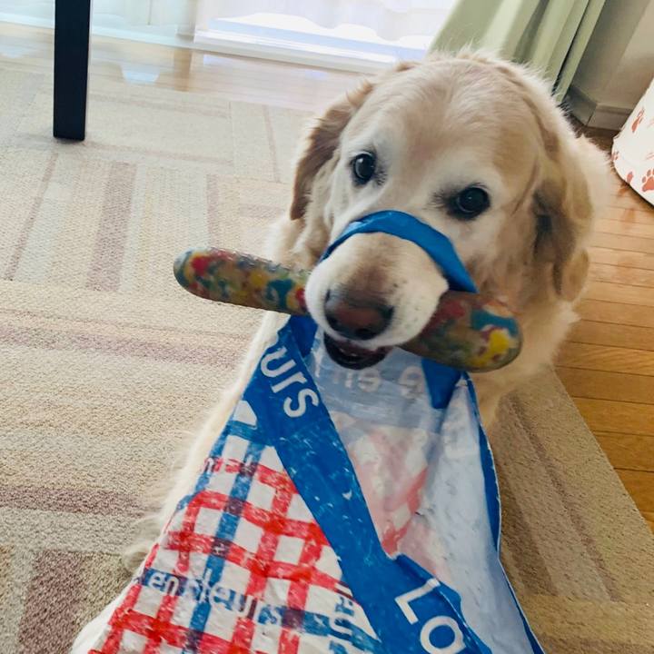 886d9444 543a 4889 8c9f 47c13134ca98 1588457712318