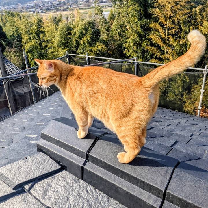 886dbc53 b6d9 446a 9615 bee347aa67d1 1773759780205