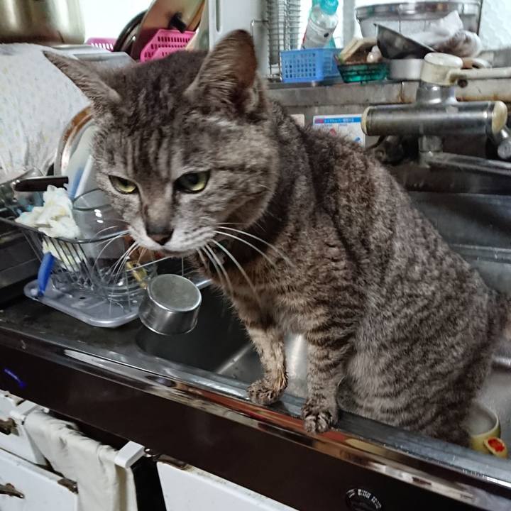 886dd681 8c3f 49f5 adac 87962e1ef3f1 1560975590251