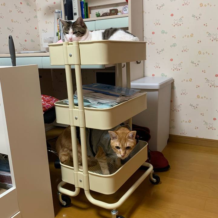 886e5e50 677a 40b6 9a3a affad04c0231 1641911686952