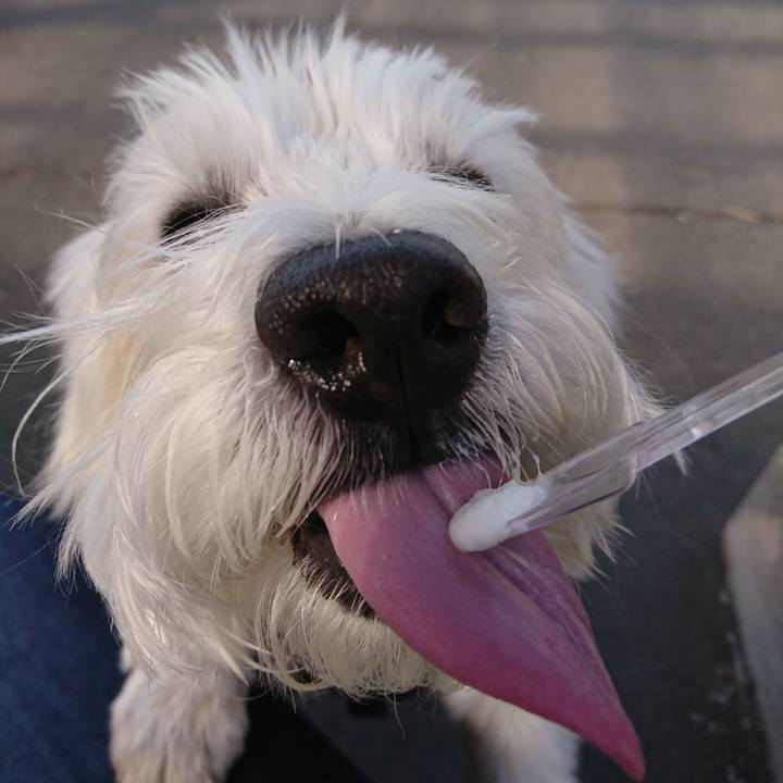 886e5e8e 5a8d 4c72 9861 492bbdfe9f26 1522505504760