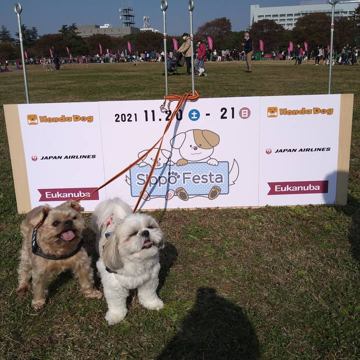 886e8146 484f 4b69 99dd e4d2e4572c0d 1637751087391