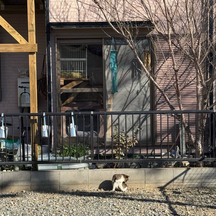 886eacc8 c3f5 48f1 a83d bd592a276b7b 1770174970790