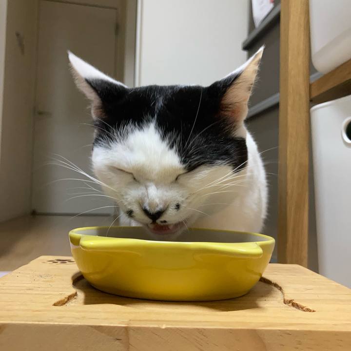 886eae29 d161 45d7 a493 108f934b8642 1758832401328