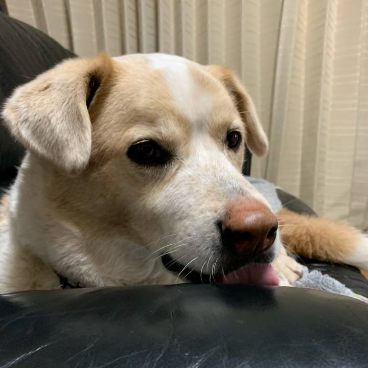 886f26b7 a2a9 4d29 941c df3ad8c35315 1580826912829